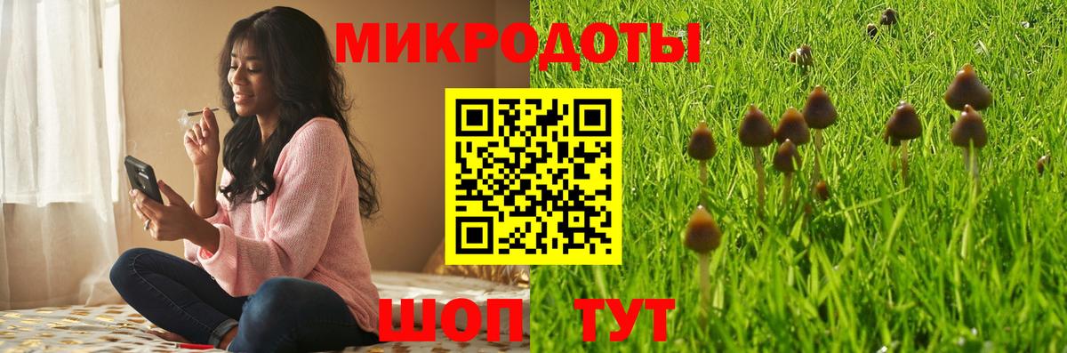 Псилоцибиновые грибы мухоморы Асбест